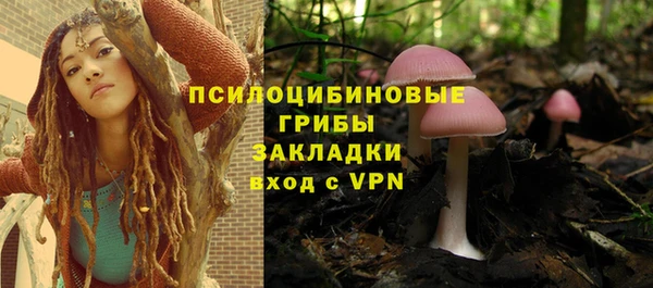 ешки Алзамай