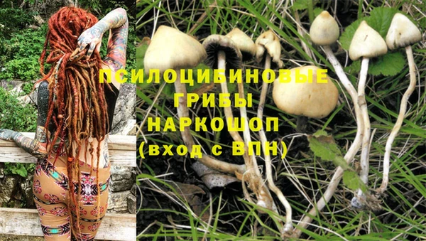 mix Алексин
