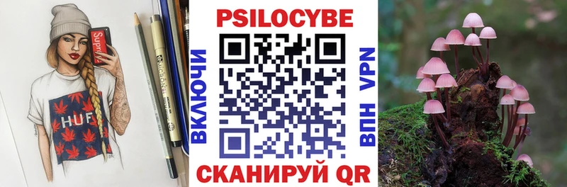 Галлюциногенные грибы Psilocybe  как найти   Оленегорск 